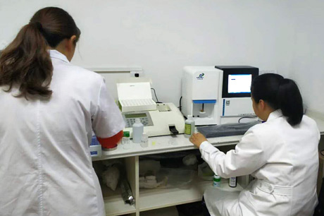 北京新巴乐视频下载介绍介绍秋季宜吃的水果